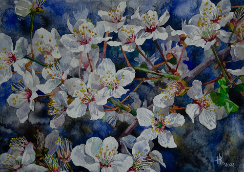 Cherry Blossom by Zhanna Kondratenko, Painting for Sale on Select