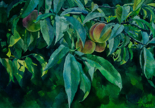 Peach Tree by Zhanna Kondratenko, Painting for Sale on Select