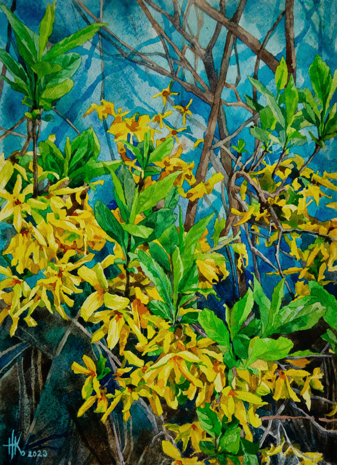 Forsythia. Early Spring Blooms Zhanna Kondratenko Original painting for sale