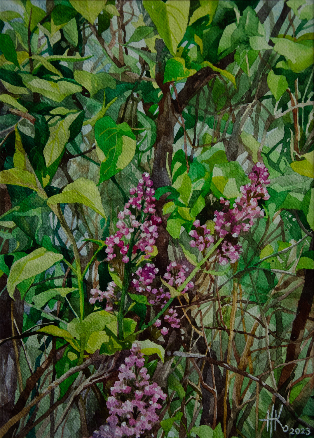 Lilac Buds Zhanna Kondratenko Original painting for sale