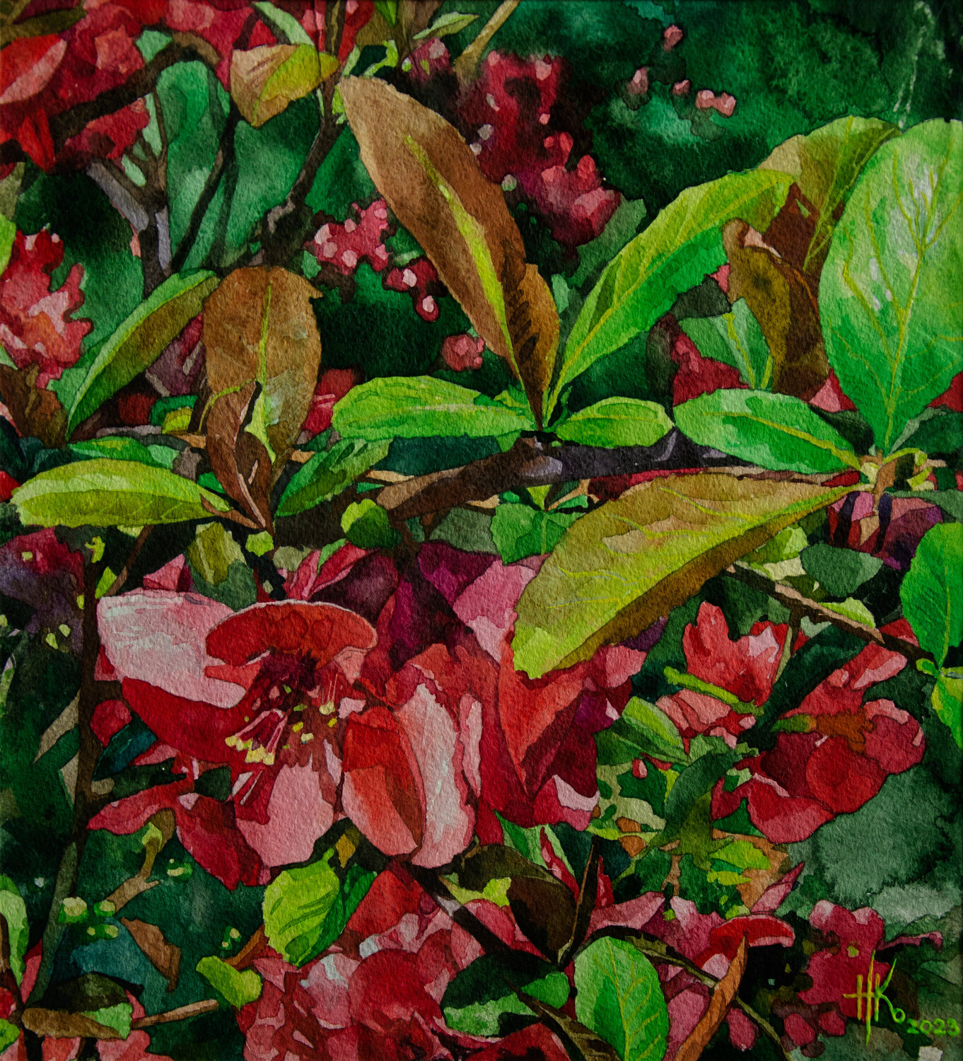 Japanese Quince Zhanna Kondratenko Original painting for sale
