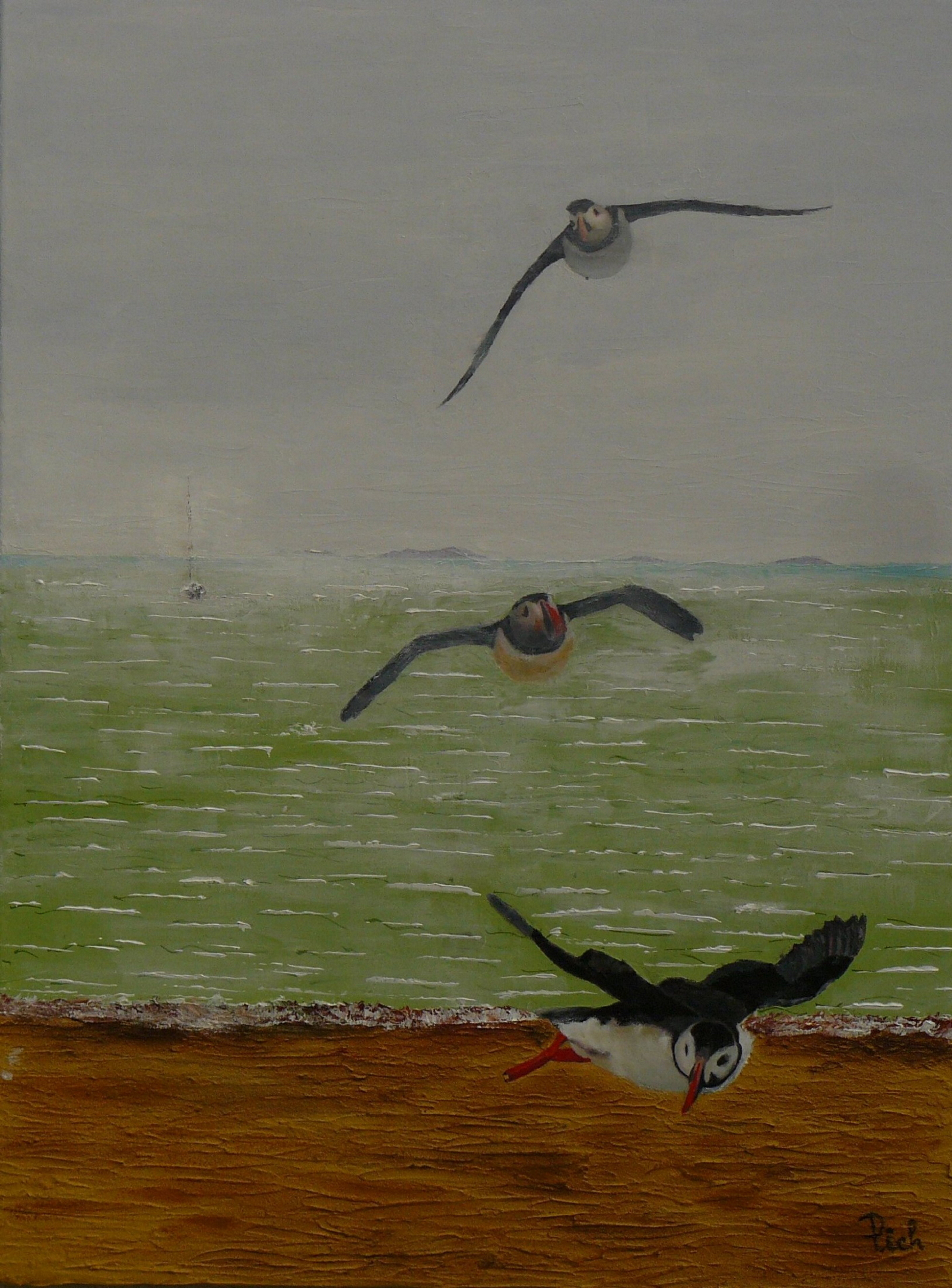 Topic Puffin paintings