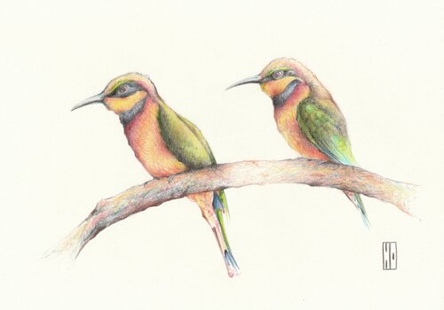 Vol en duo by Hubert Ollivier, Drawing for Sale on Select