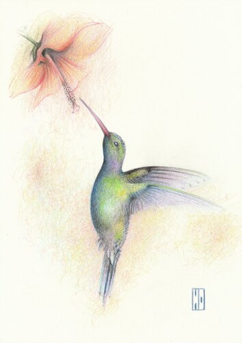 Si précieux by Hubert Ollivier, Drawing for Sale on Select