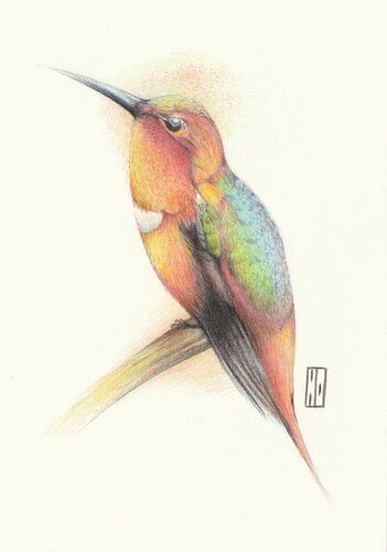 Perchoir by Hubert Ollivier, Drawing for Sale on Select