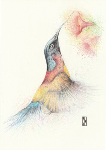 Tout en légèreté by Hubert Ollivier, Drawing for Sale on Select
