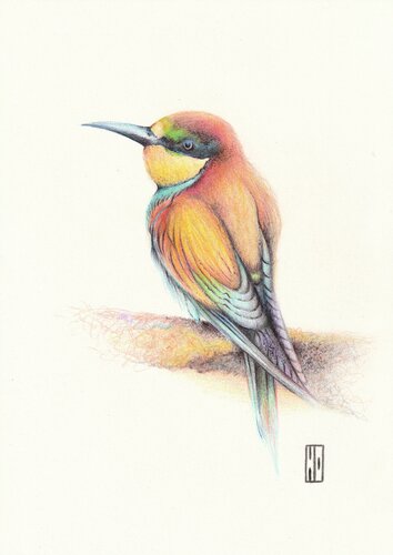 Au fond de l'estuaire by Hubert Ollivier, Drawing for Sale on Select