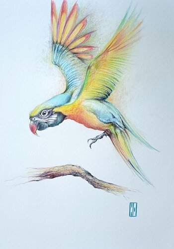 Un cocktail de couleurs by Hubert Ollivier, Drawing for Sale on Select