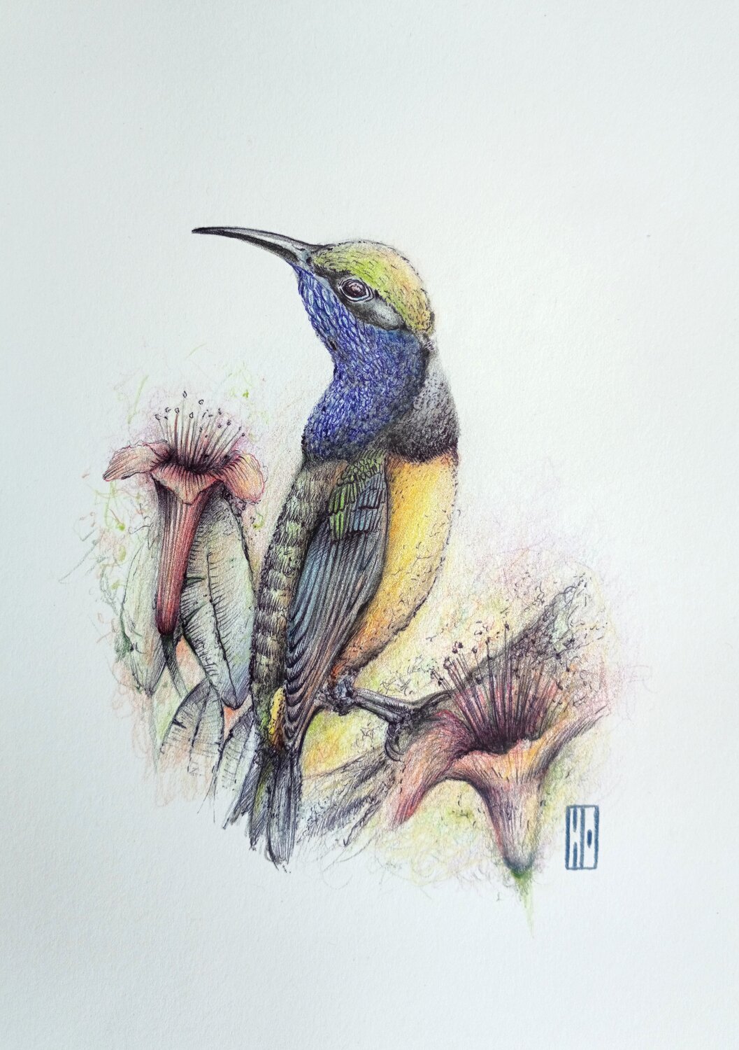 Le pouvoir des fleurs Hubert Ollivier Drawing for sale