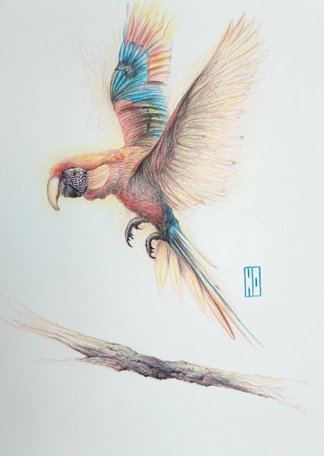 Voler avec panache Hubert Ollivier Drawing for sale