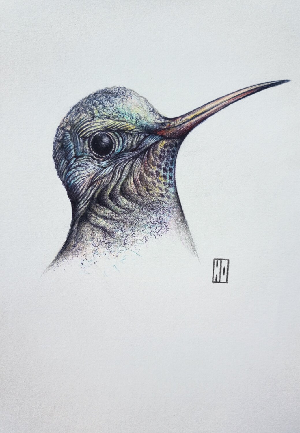 Plumage Hubert Ollivier Drawing for sale