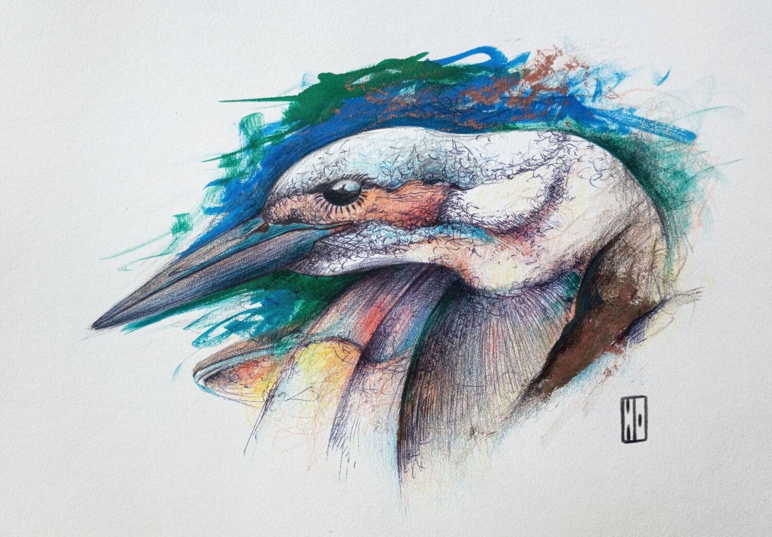 Martin-pêcheur Hubert Ollivier Drawing for sale