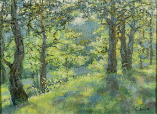 Summer Artwork Forest Landscape Evening Original Art Impressionist by Natalya Savenkova, Painting for Sale on Select