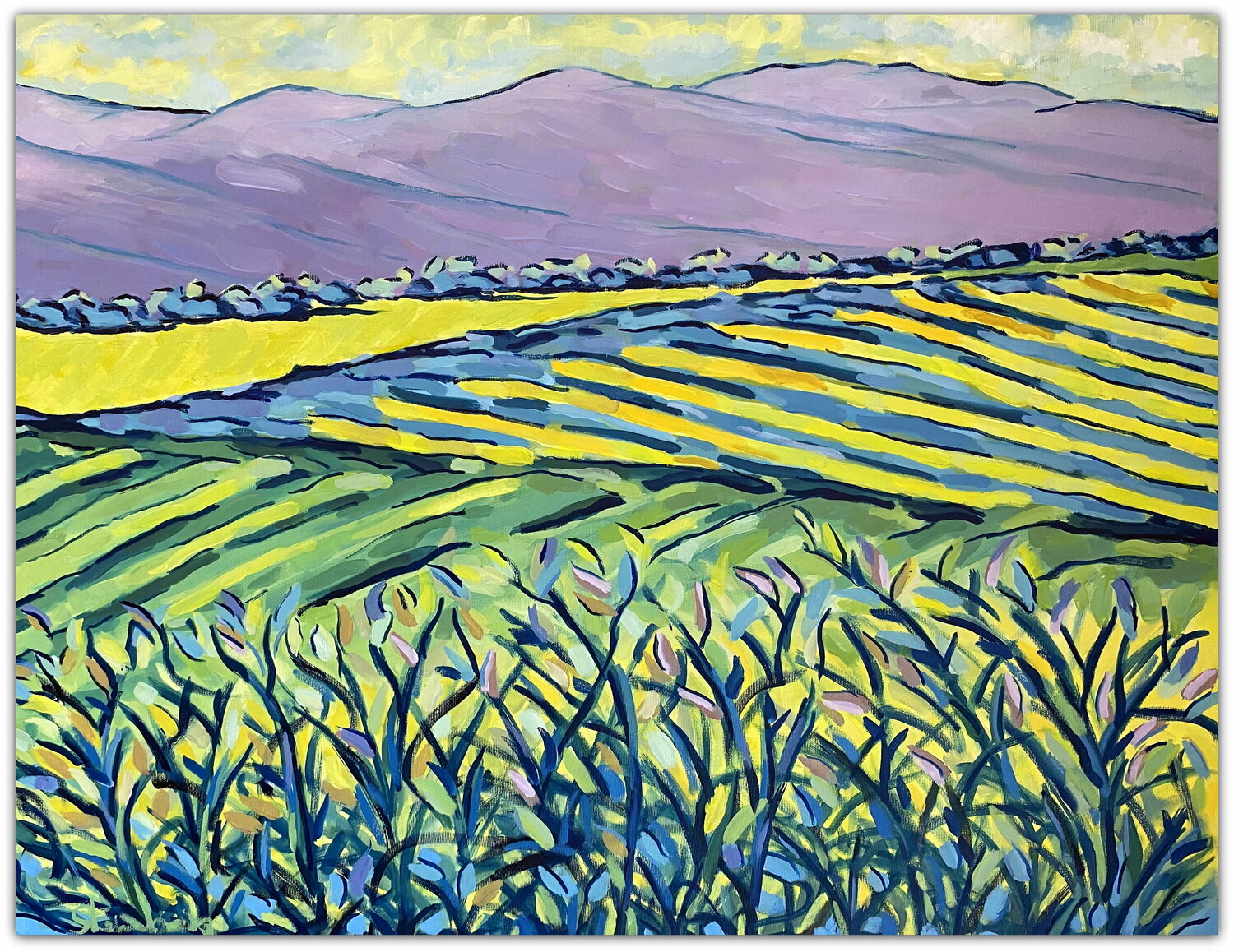 Country fields Jacques Sterenberg Original painting for sale