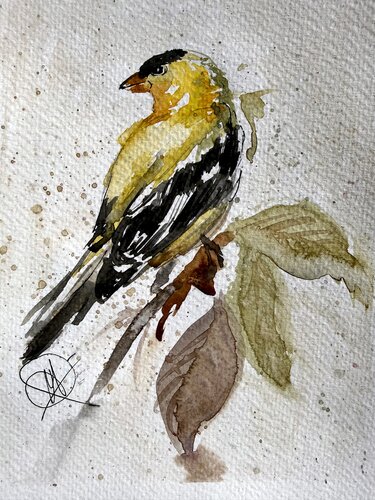 Yellow Finch von Mariam Qureshi, Malerei kaufen auf Select