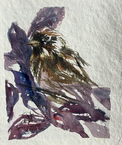 Sparrow in my purple tree von Mariam Qureshi, Malerei kaufen auf Select