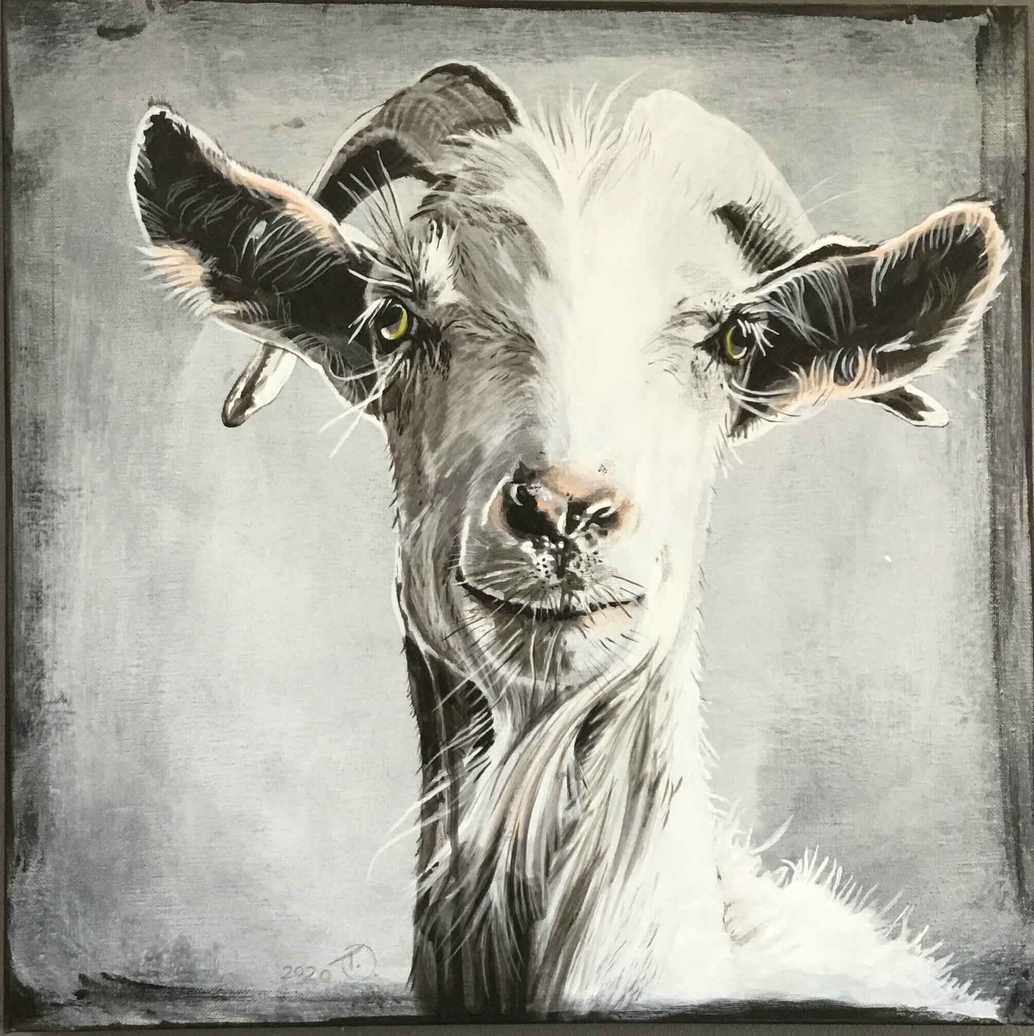 Topic Goat paintings