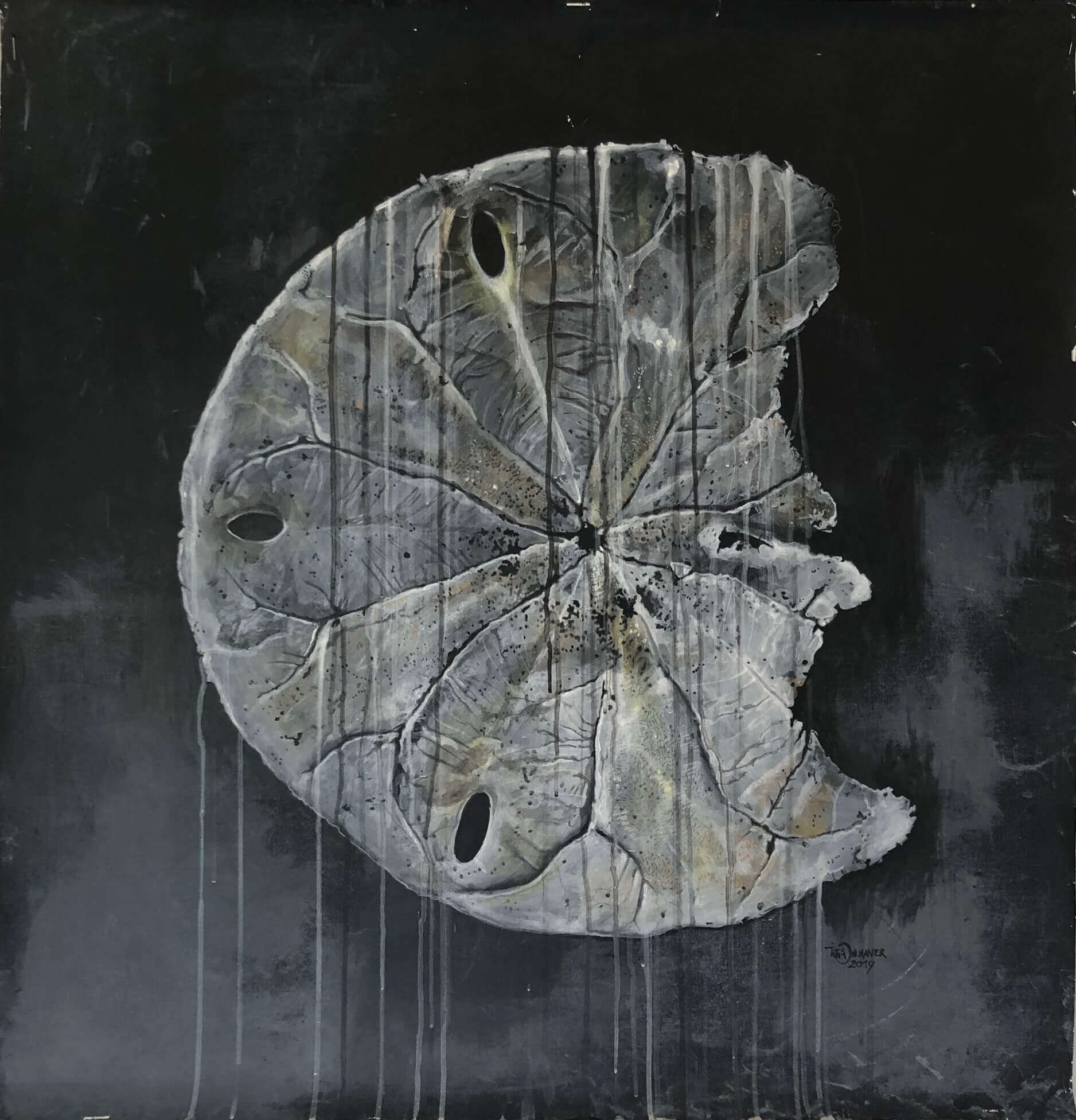 Topic Sand Dollar paintings