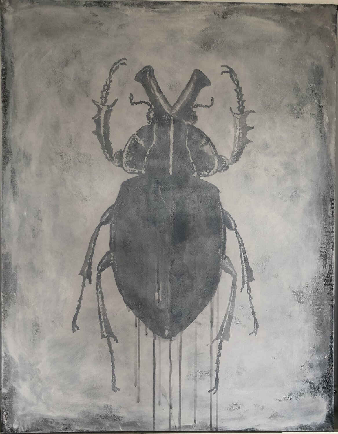 Skrarabeus titia ohlhaver Original painting for sale
