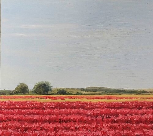 Amapolas en Camino de San Román I by Marietta Negueruela, Painting for Sale on Select