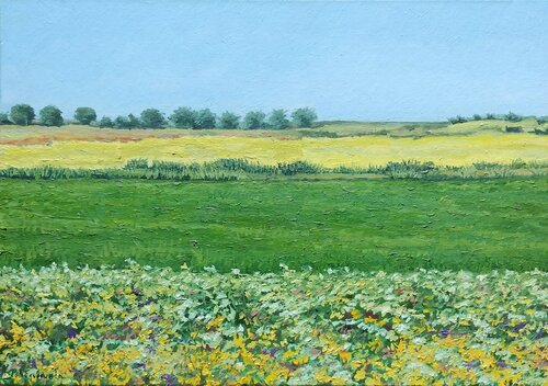 Campos de colza by Marietta Negueruela, Painting for Sale on Select