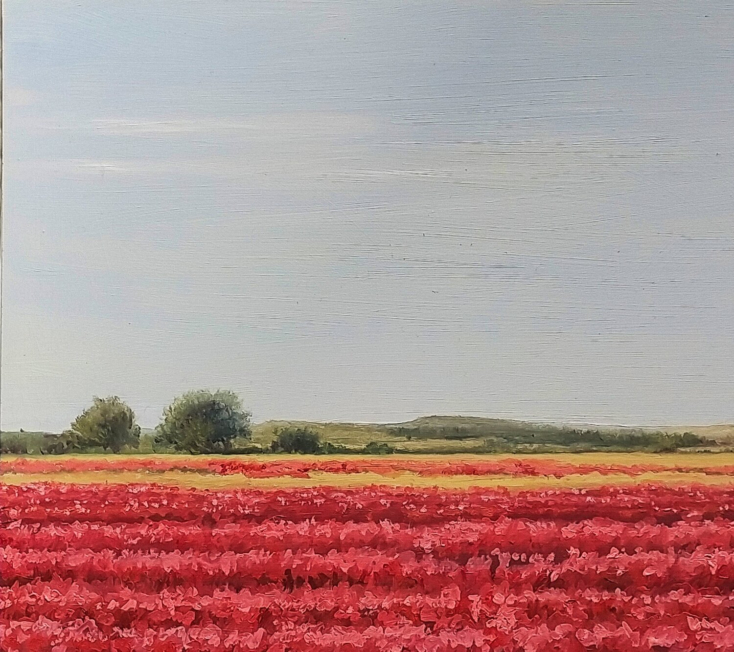 Amapolas en Camino de San Román I Marietta Negueruela Original painting for sale