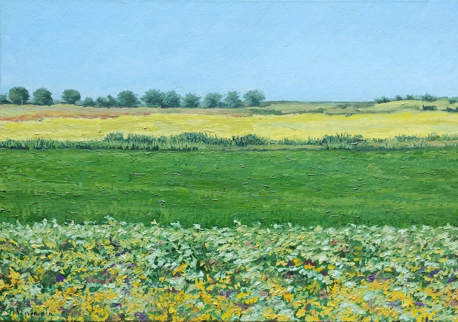 Campos de colza Marietta Negueruela Original painting for sale