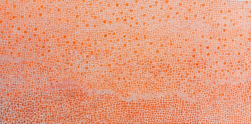 Inspiration 6801 by Carol Zsolt, Painting for Sale on Select