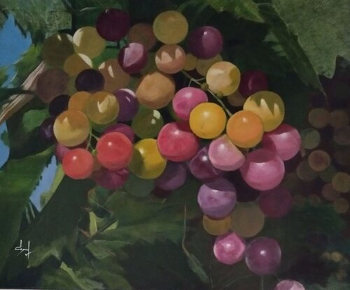 Raisins de Provence by Véronique Degabriel, Painting for Sale on Select