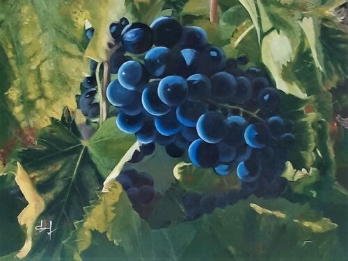 Raisins du Luberon en Provence by Véronique Degabriel, Painting for Sale on Select