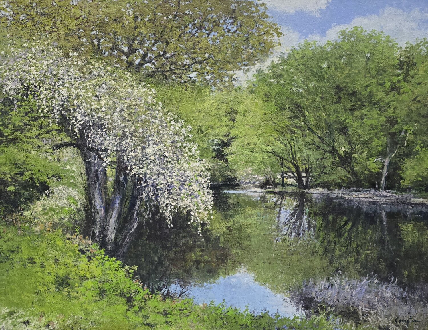 White Blossoms Michael Compton Original painting for sale