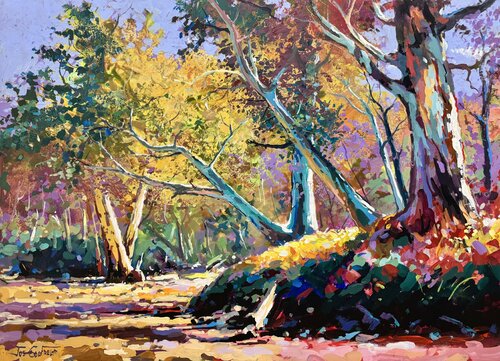 Outback Riverbed 2 von Jos Coufreur, Malerei kaufen auf Select