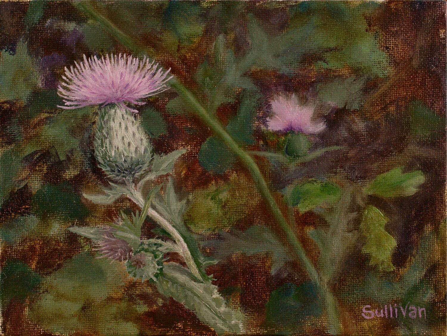 Thistle Shawn Sullivan Original painting for sale