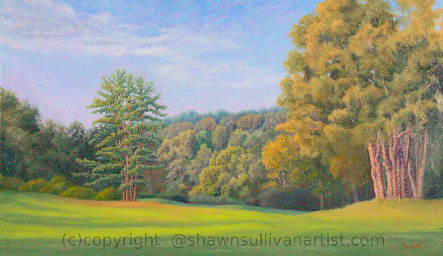 Portrait of a Pine Shawn Sullivan Original painting for sale