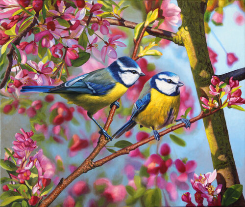 Herrerillos en Primavera by Javier Ramos Julián, Painting for Sale on Select