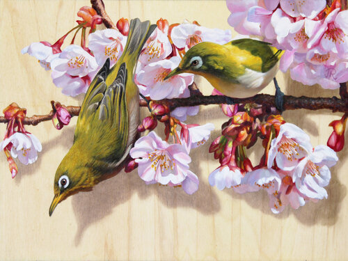 Anteojitos entre sakura by Javier Ramos Julián, Painting for Sale on Select