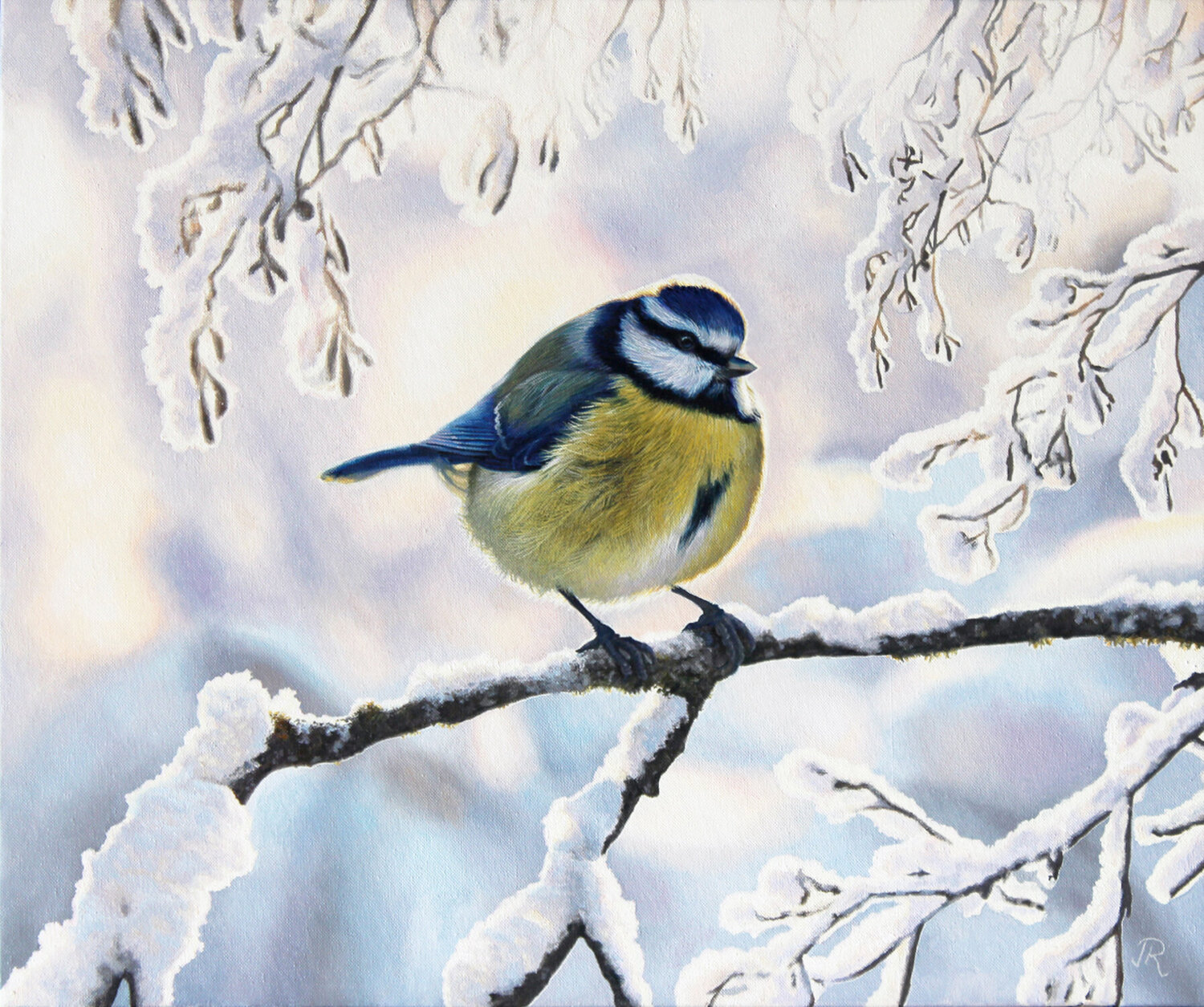 Herrerillo en Invierno Javier Ramos Julián Original painting for sale