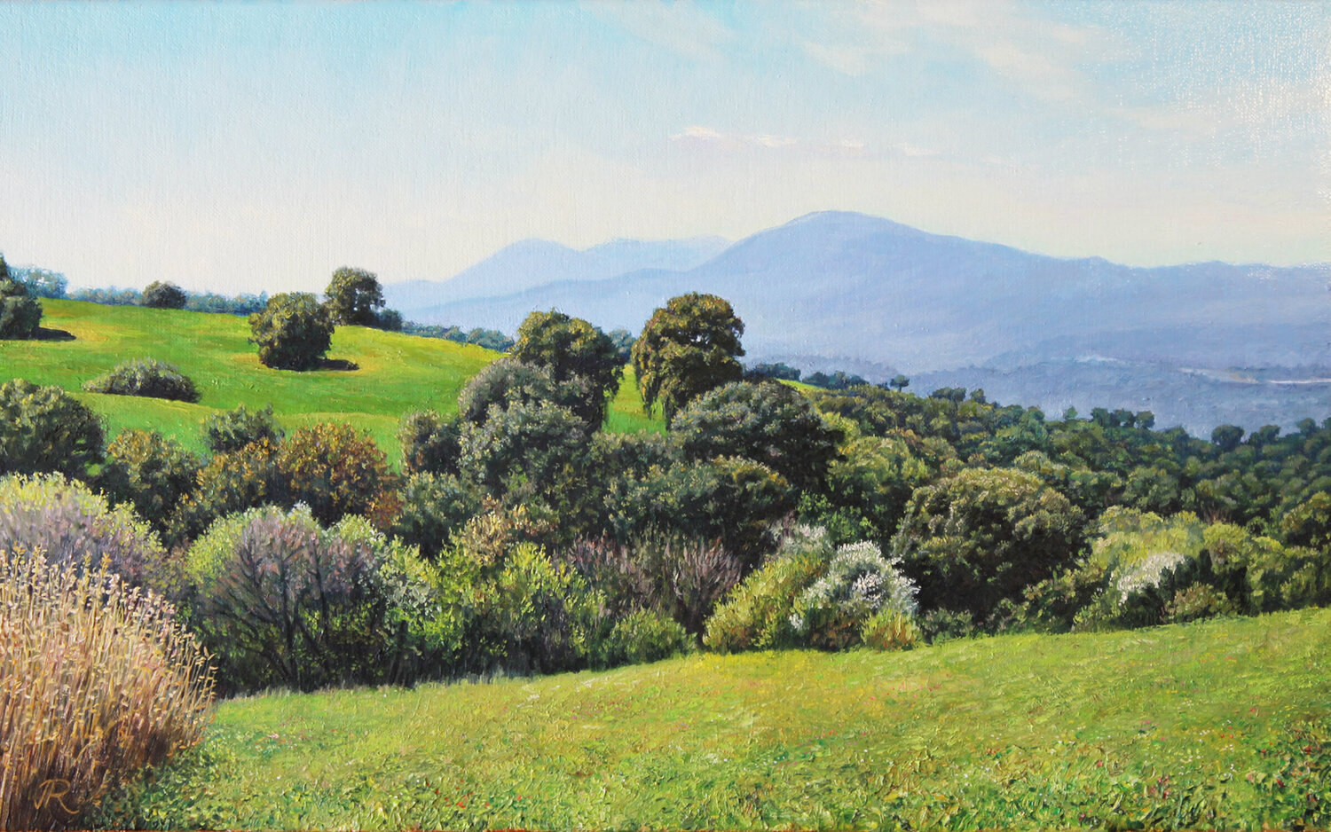 Mañana de Primavera Javier Ramos Julián Original painting for sale