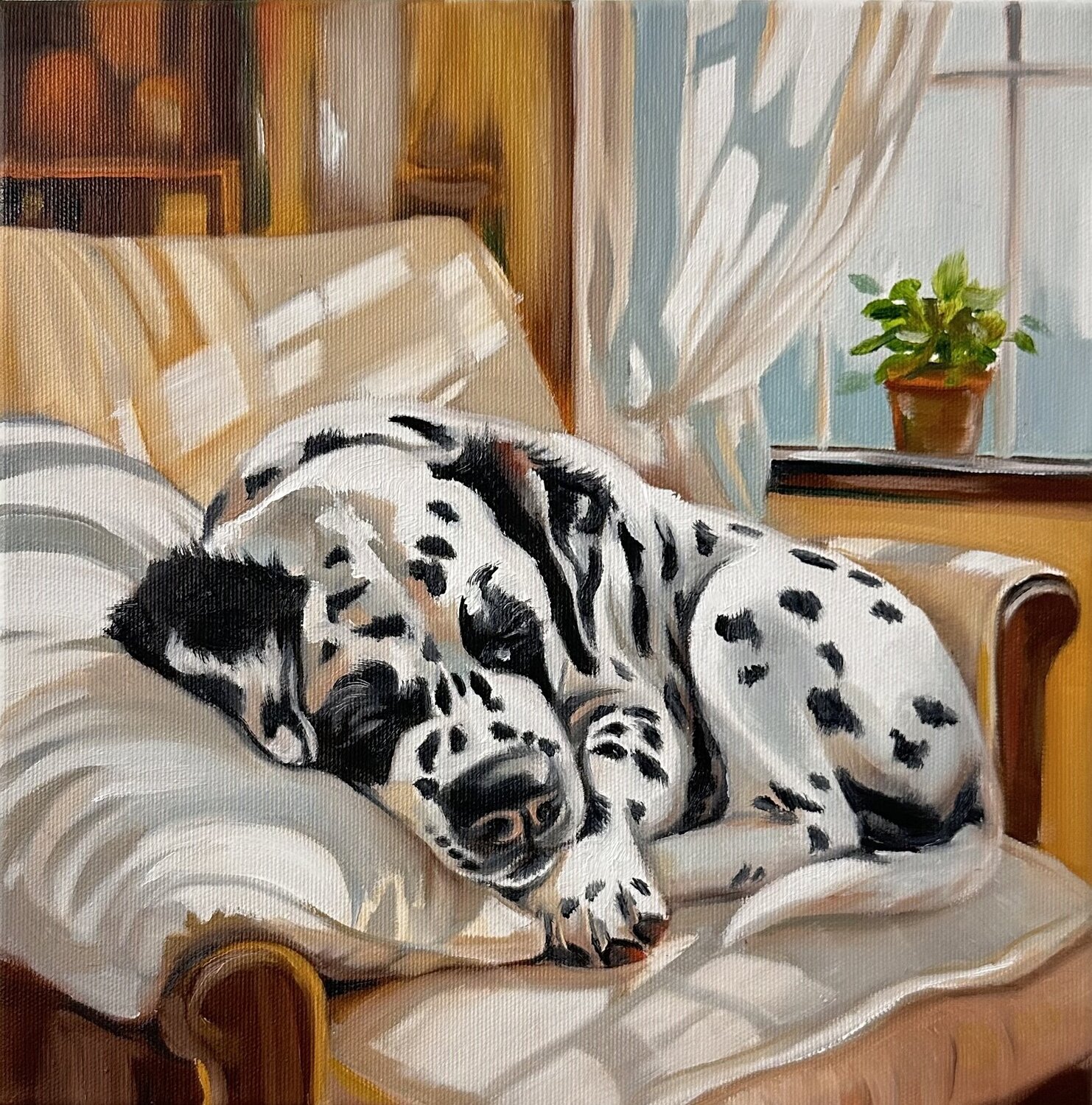 Safe Place | Resting Dalmatian in Sunlit Interior – Oil on Canvas 30x30 –  Animal Art Victo Original painting for sale