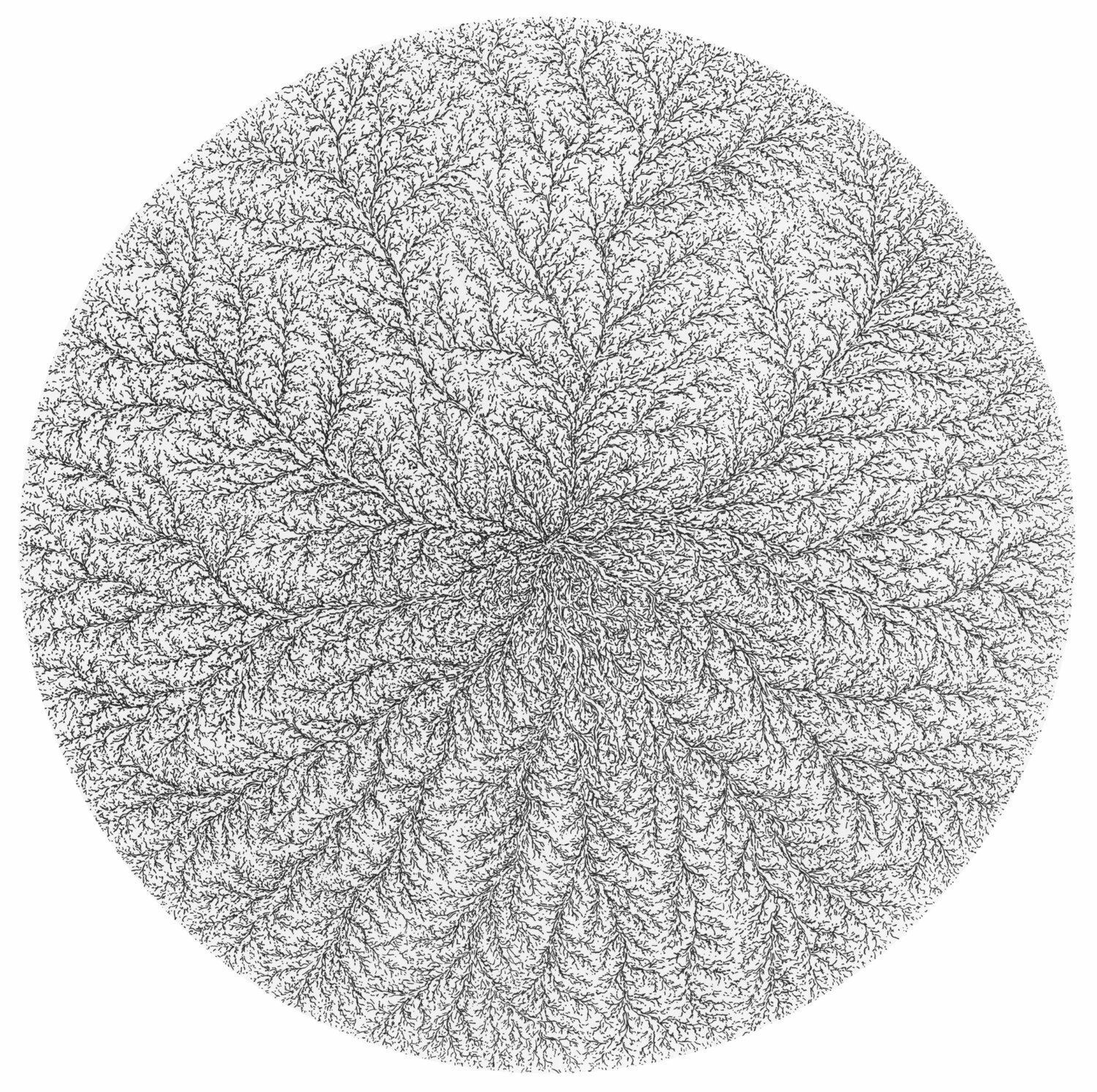 Fractale 2, encre sur papier, tondo, diam 39 cm.  Encadré, 50 x 50 cm Béatrice Bescond Drawing for sale