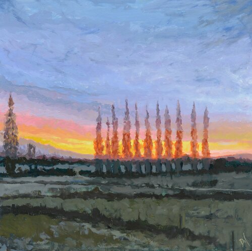 Coucher de Soleil by Daniel Murgatroyd, Painting for Sale on Select