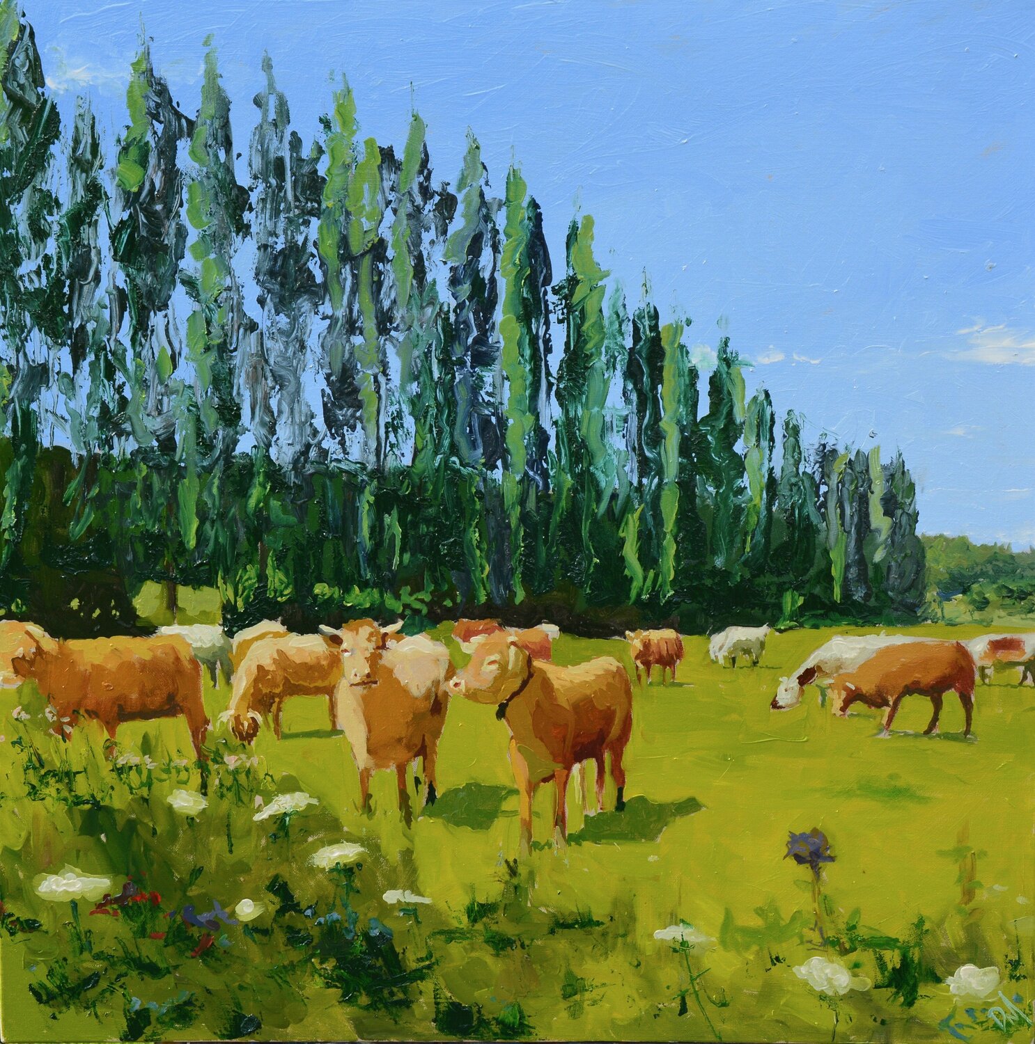The Cows Daniel Murgatroyd Original painting for sale