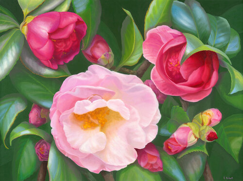 Butterfly Dream by Elizabeth Rickert, Painting for Sale on Select