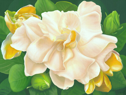 Full Radiance by Elizabeth Rickert, Painting for Sale on Select