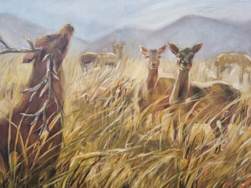 Ciervos Colorados by Claudia Lucini, Painting for Sale on Select