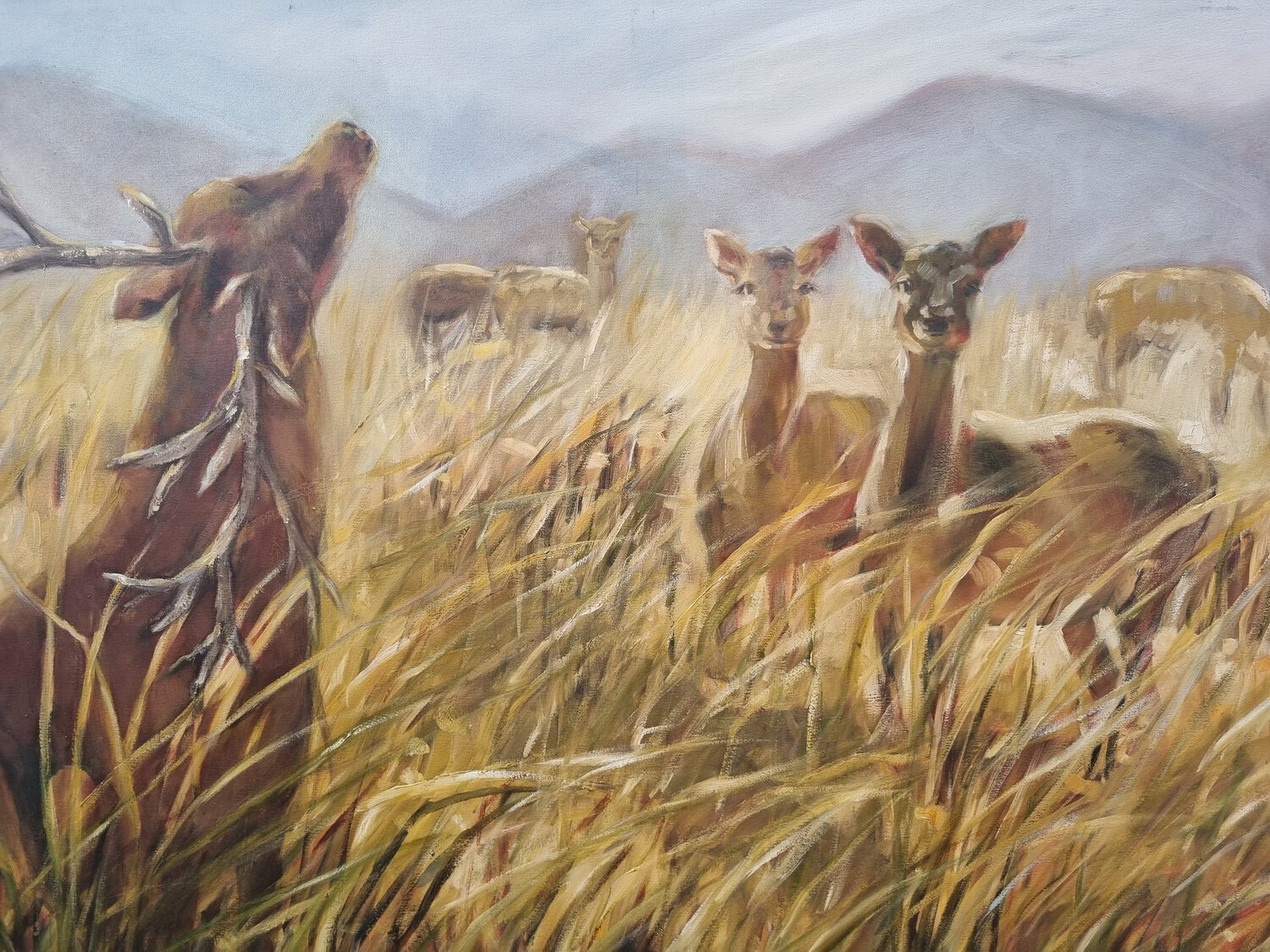 Ciervos Colorados Claudia Lucini Original painting for sale