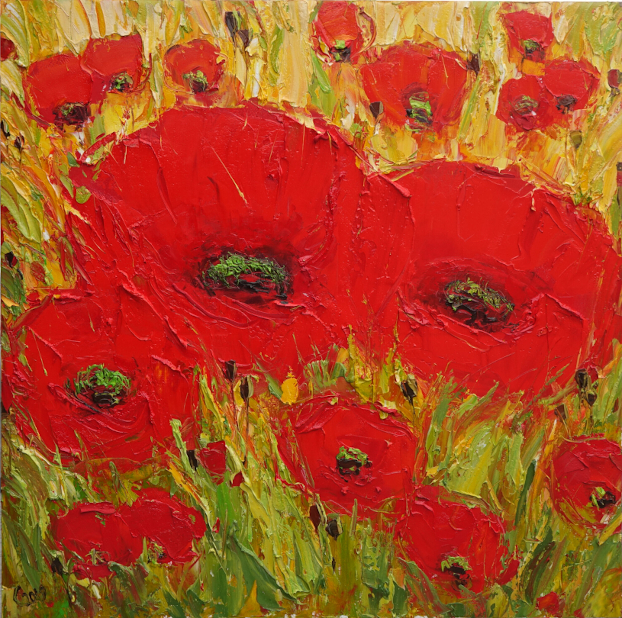 Poppies