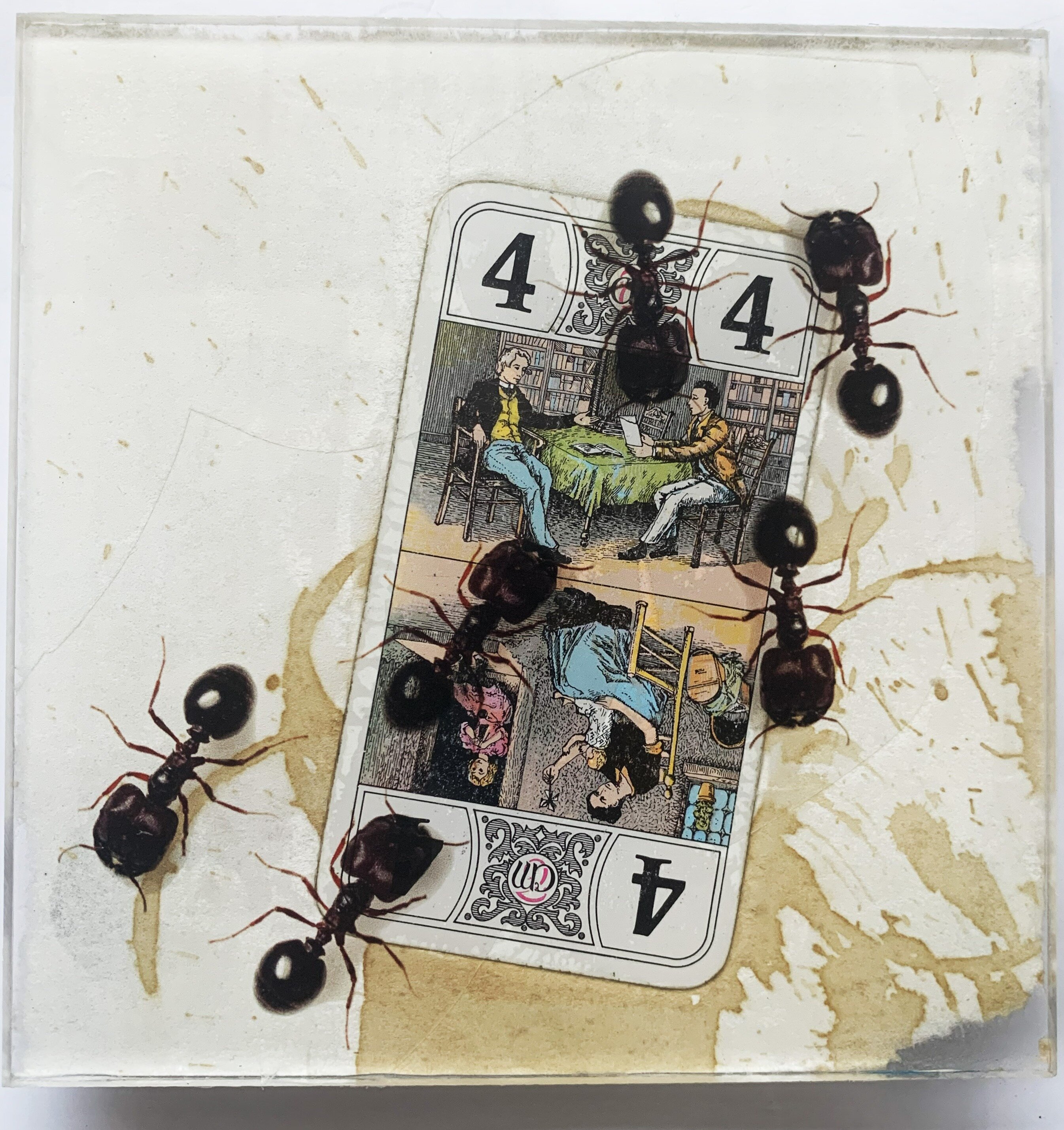 Topic Ants paintings