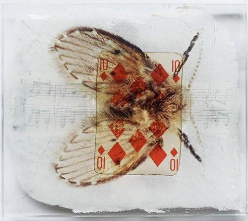 SPIRITO 10 CARREAU PAPILLON by Nental, Painting for Sale on Select