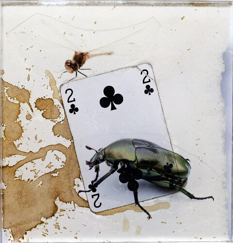SPIRITO 2 TREFLE MOUSTIC COLEOPTERE by Nental, Painting for Sale on Select